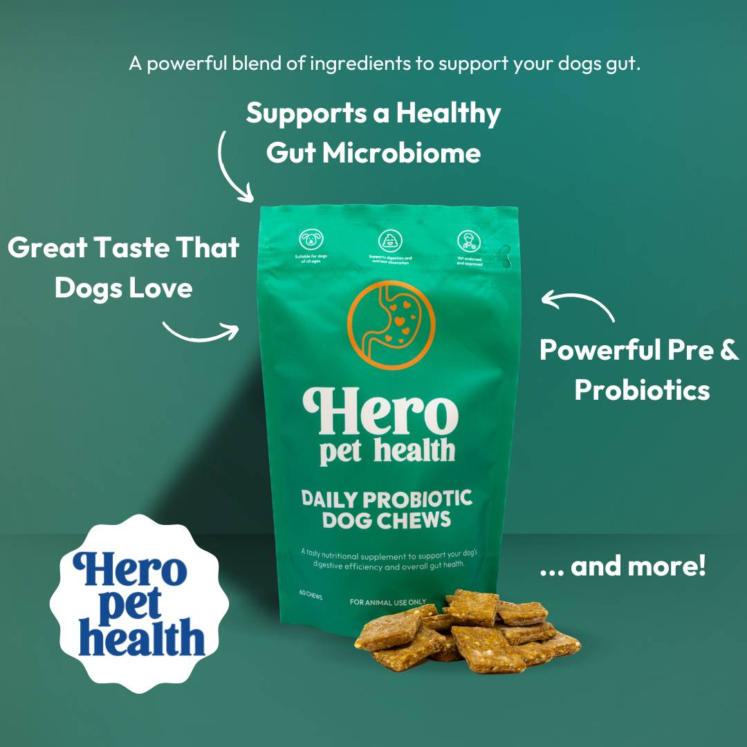 Dog Probiotic Gut Health Chews - Hero Pet Health