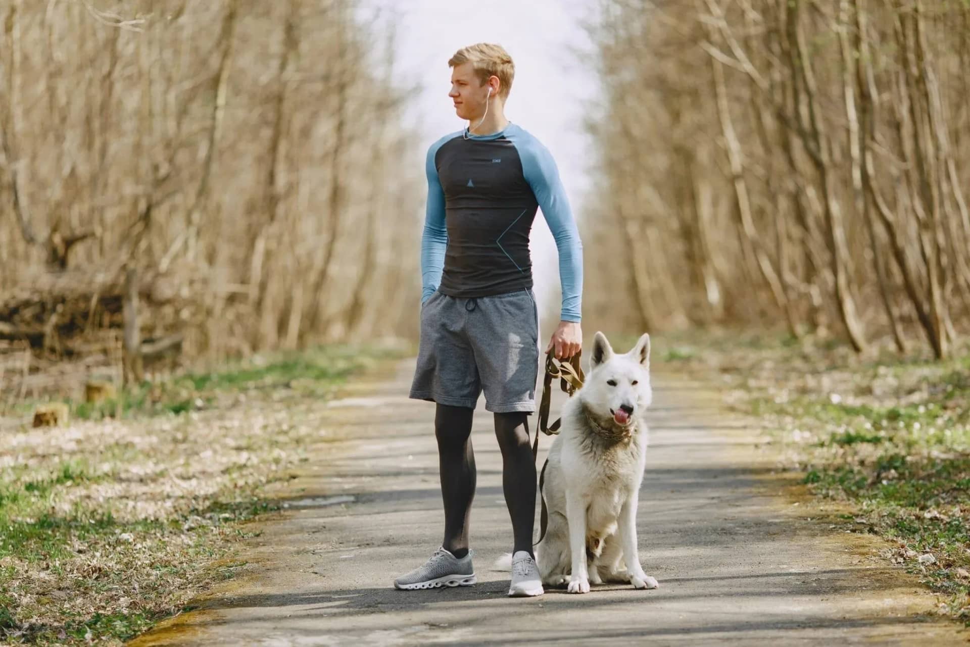 best-dog-breeds-for-running-partners-194684