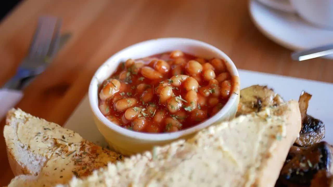 can-dogs-eat-baked-beans-types-and-amount-safe-for-furry-friends-459178