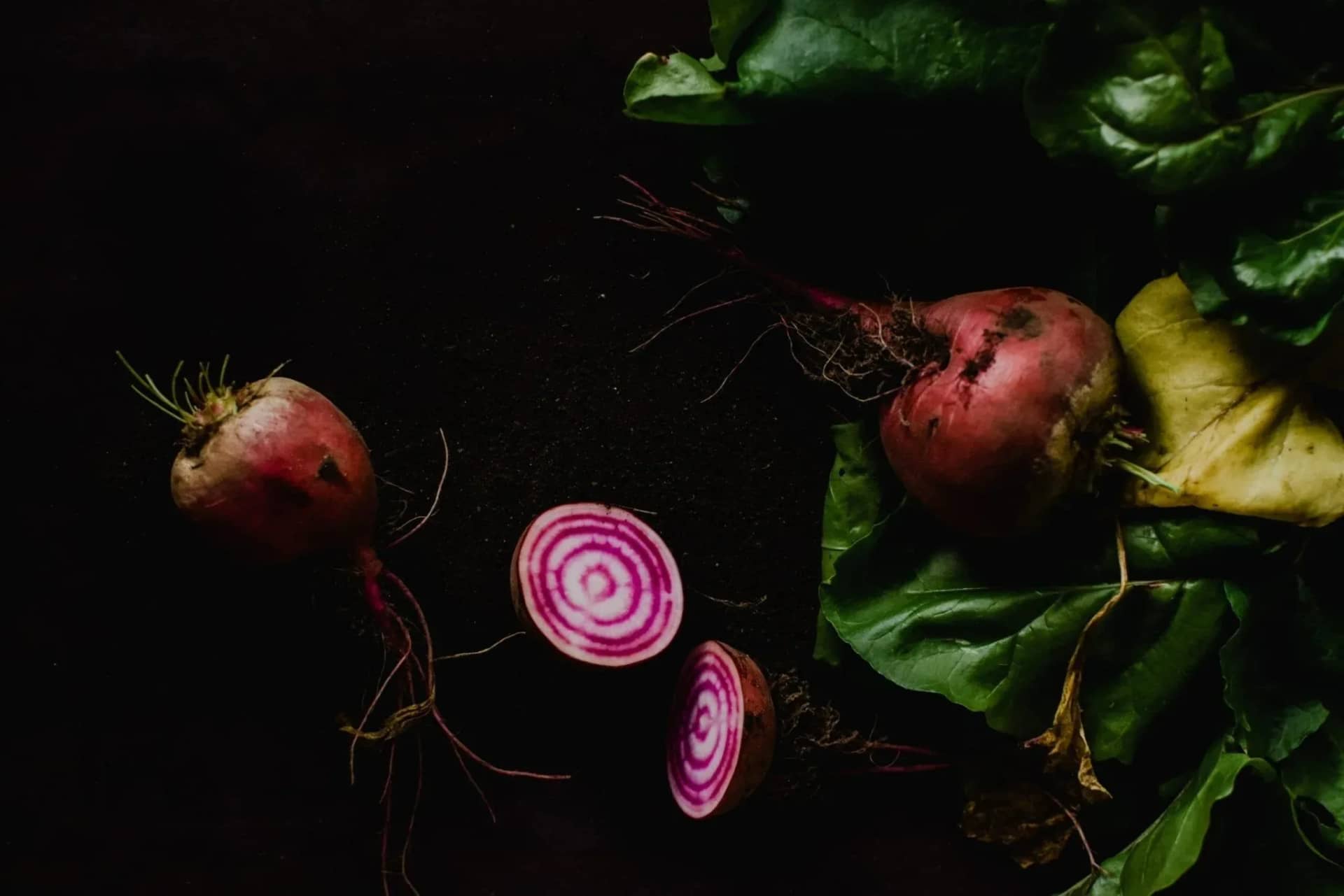 can-dogs-eat-beetroot-a-fun-recipe-to-try-and-alternatives-800344