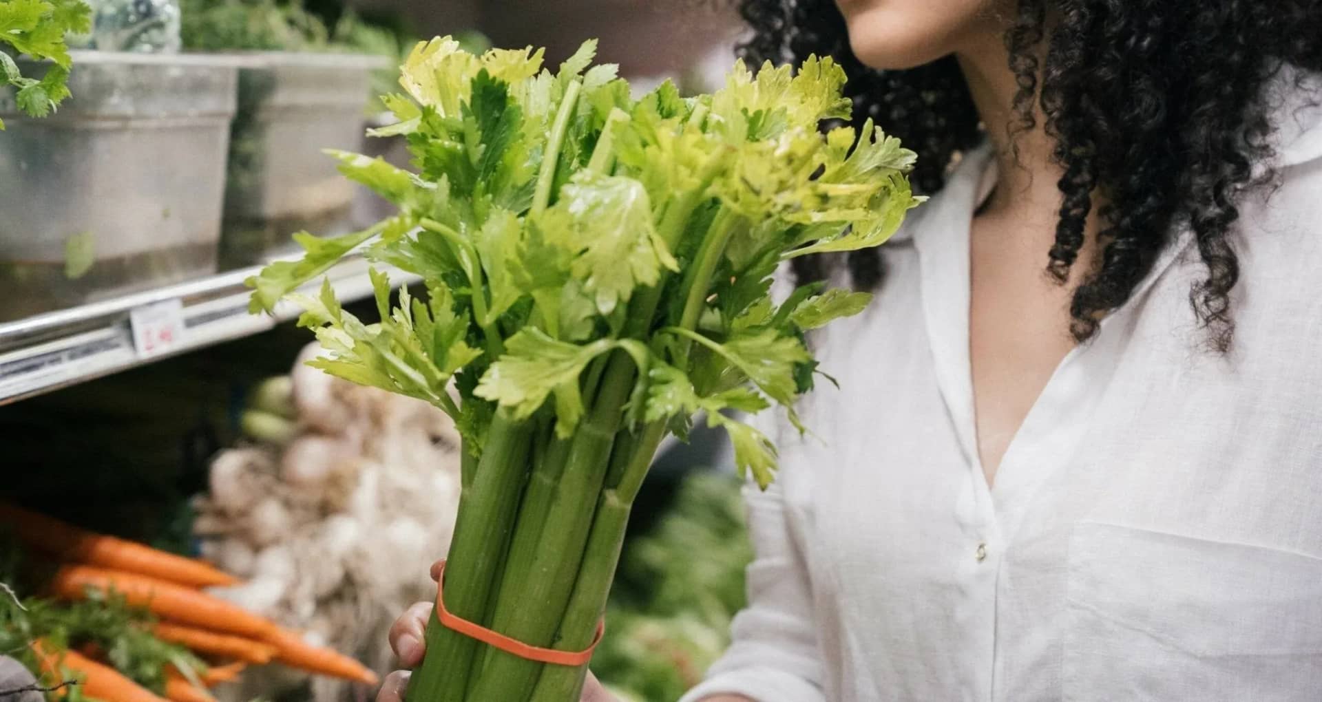 can-dogs-eat-celery-benefits-and-risks-489459