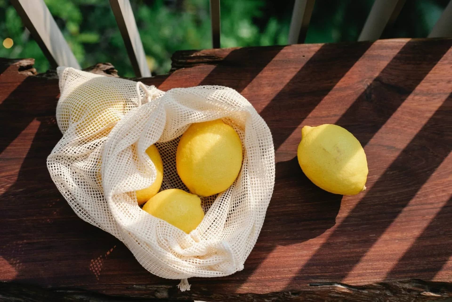 can-dogs-eat-lemon-nutritional-benefits-and-risks-692122
