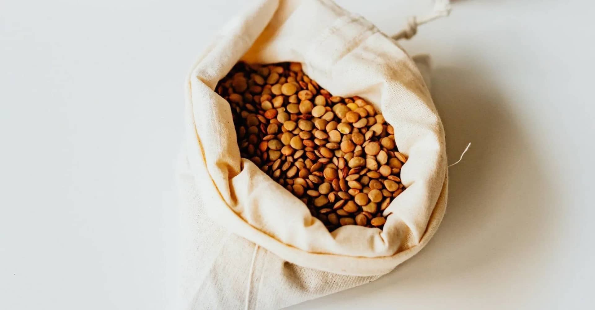 can-dogs-eat-lentils-cooking-tips-and-benefits-451406