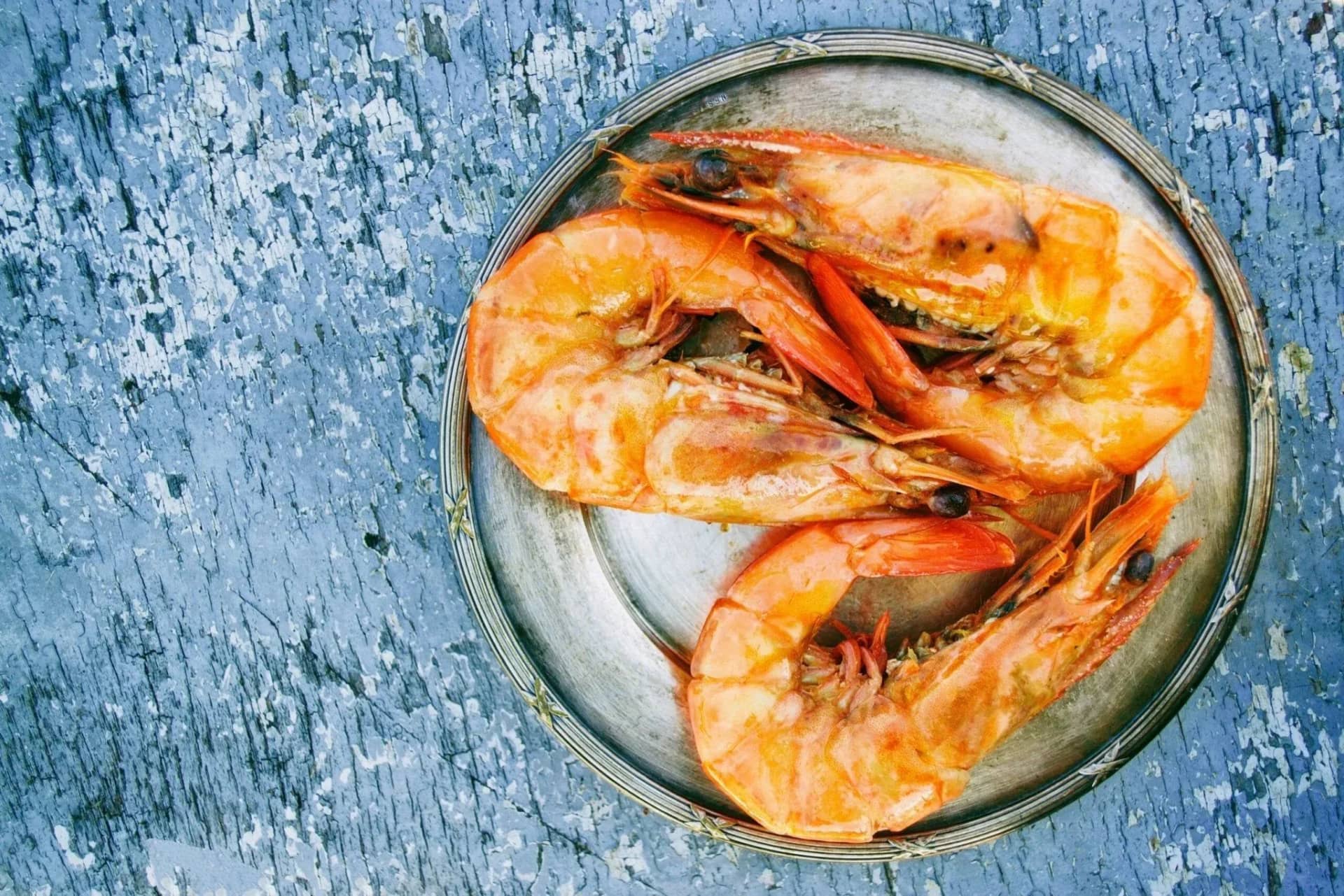 can-dogs-eat-prawns-myths-and-facts-223360