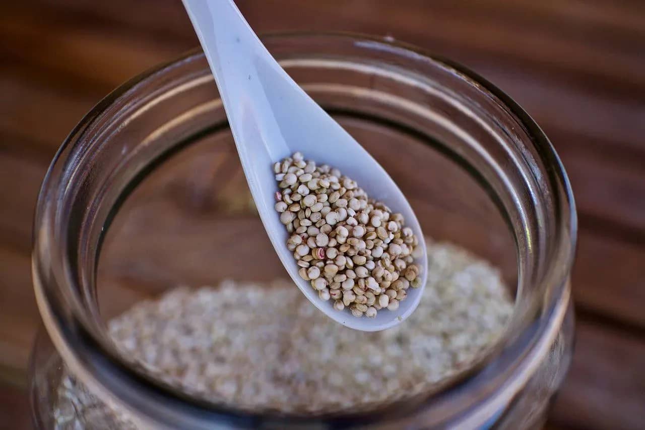 can-dogs-eat-quinoa-a-great-kibble-alternative-with-unique-benefits-495807