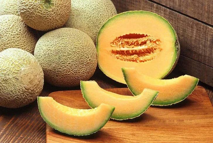 can-dogs-eat-rockmelon-preparation-guide-and-risks-927211