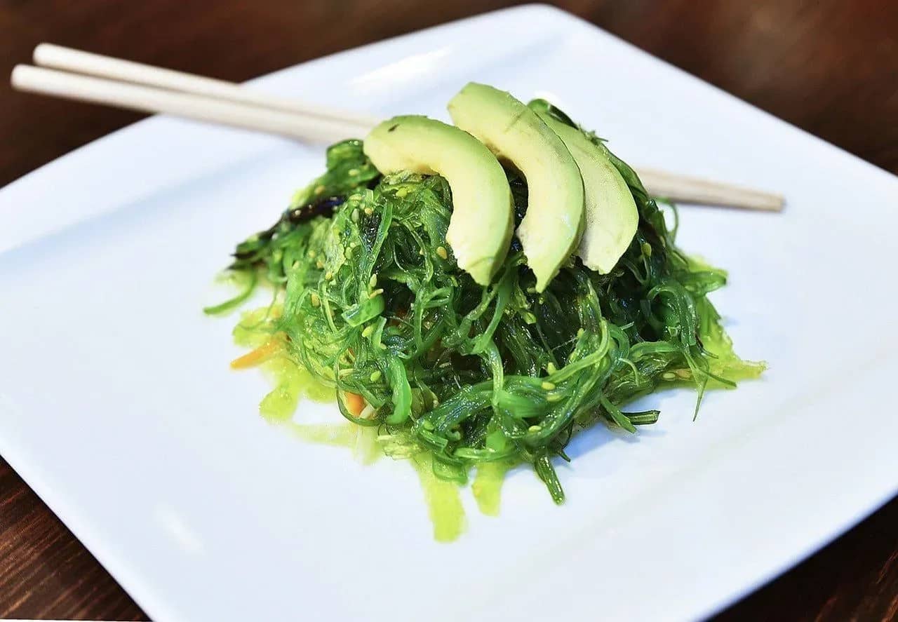 can-dogs-eat-seaweed-a-guide-to-safely-feeding-seaweed-to-your-dog-101082