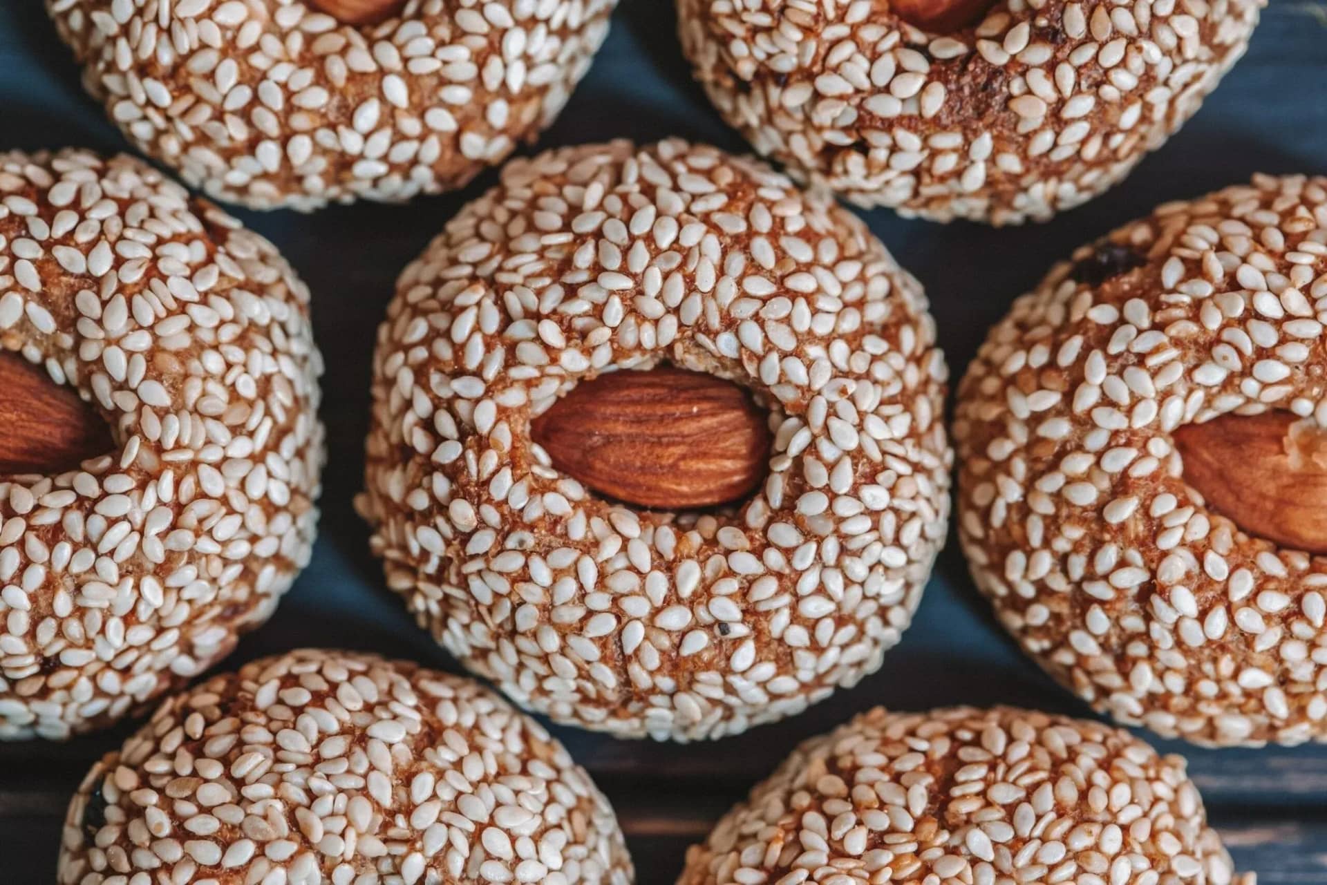 can-dogs-eat-sesame-seeds-nutritional-benefits-and-serving-guide-257854