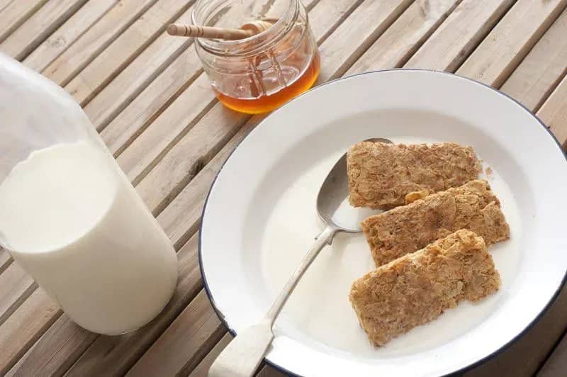 can-dogs-eat-weetbix-delicious-recipes-and-alternatives-561684