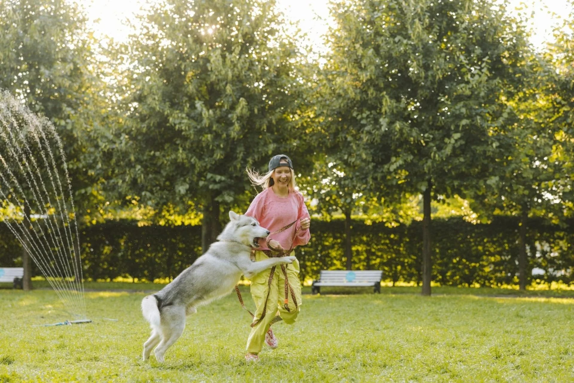 how-to-keep-your-dog-active-physically-and-mentally-474345