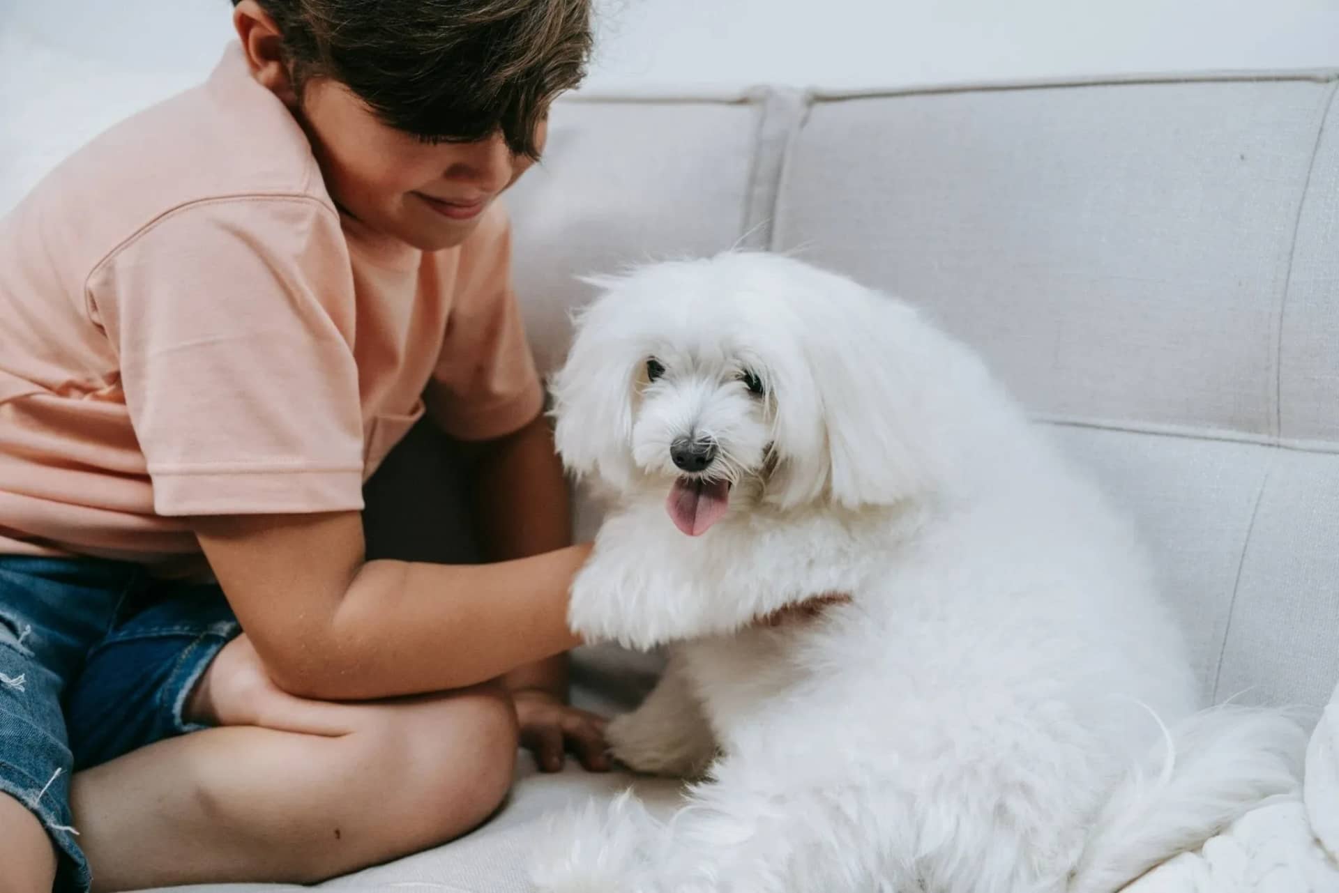 understanding-dog-body-language-and-its-importance-618755