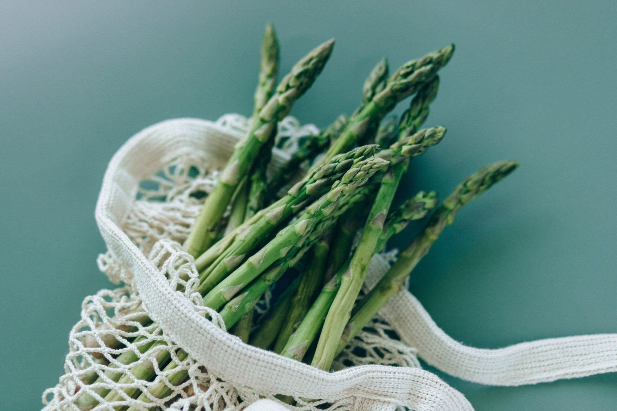 Can Dogs Eat Asparagus? Complete Guide - Hero Pet Health