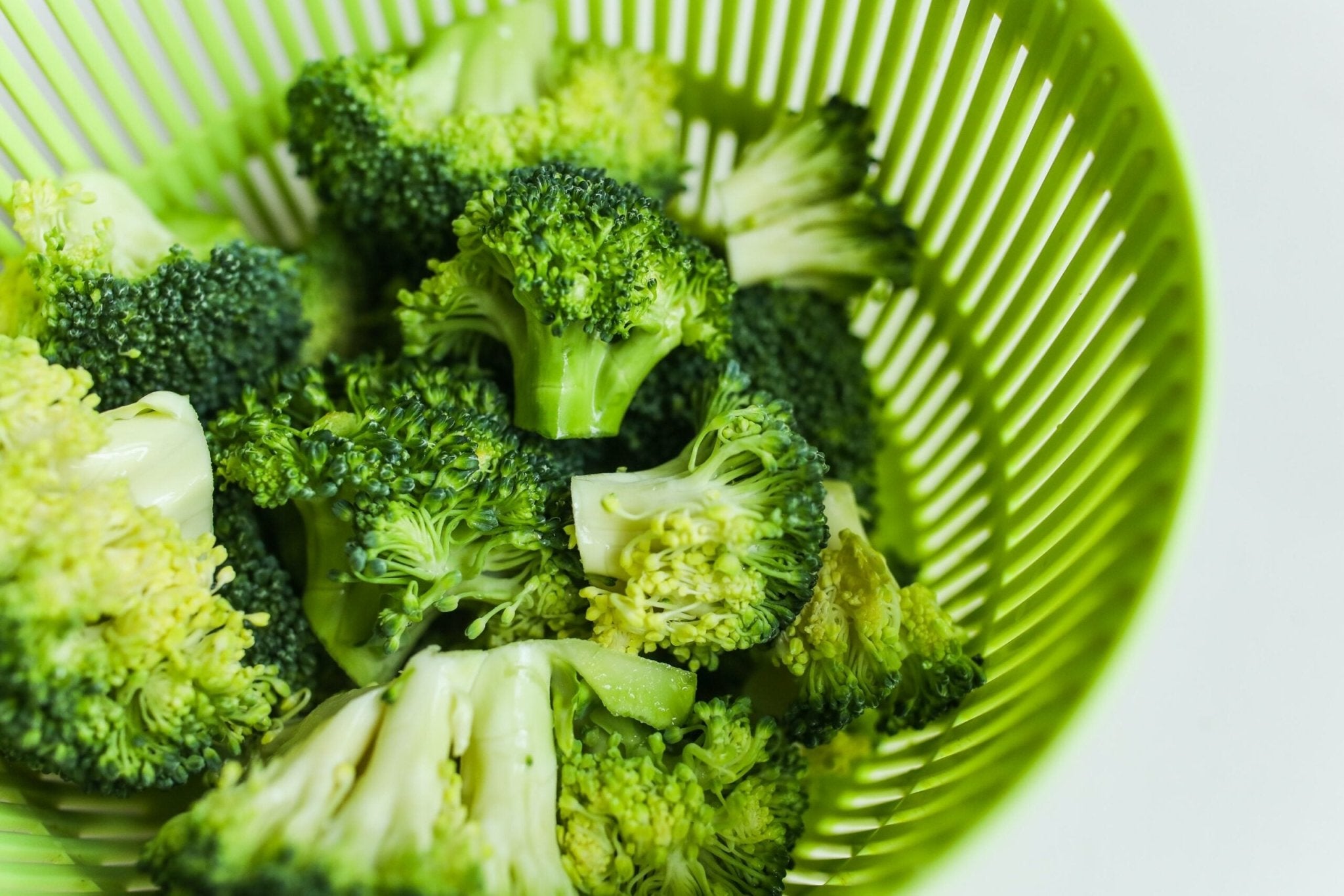 Can Dogs Eat Broccoli? Benefits And Alternatives - Hero Pet Health