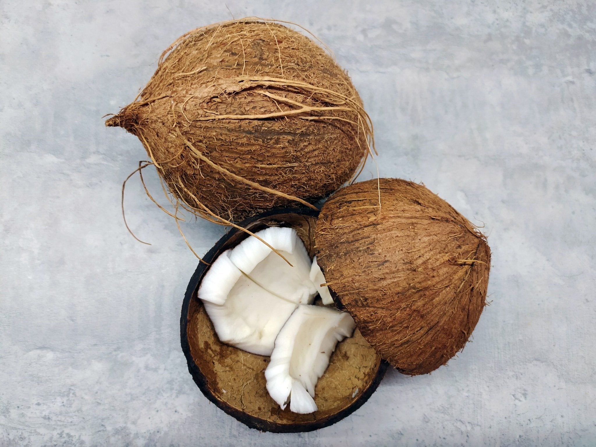 Can Dogs Eat Coconut? Delicious, Nutrition-Filled Treats - Hero Pet Health
