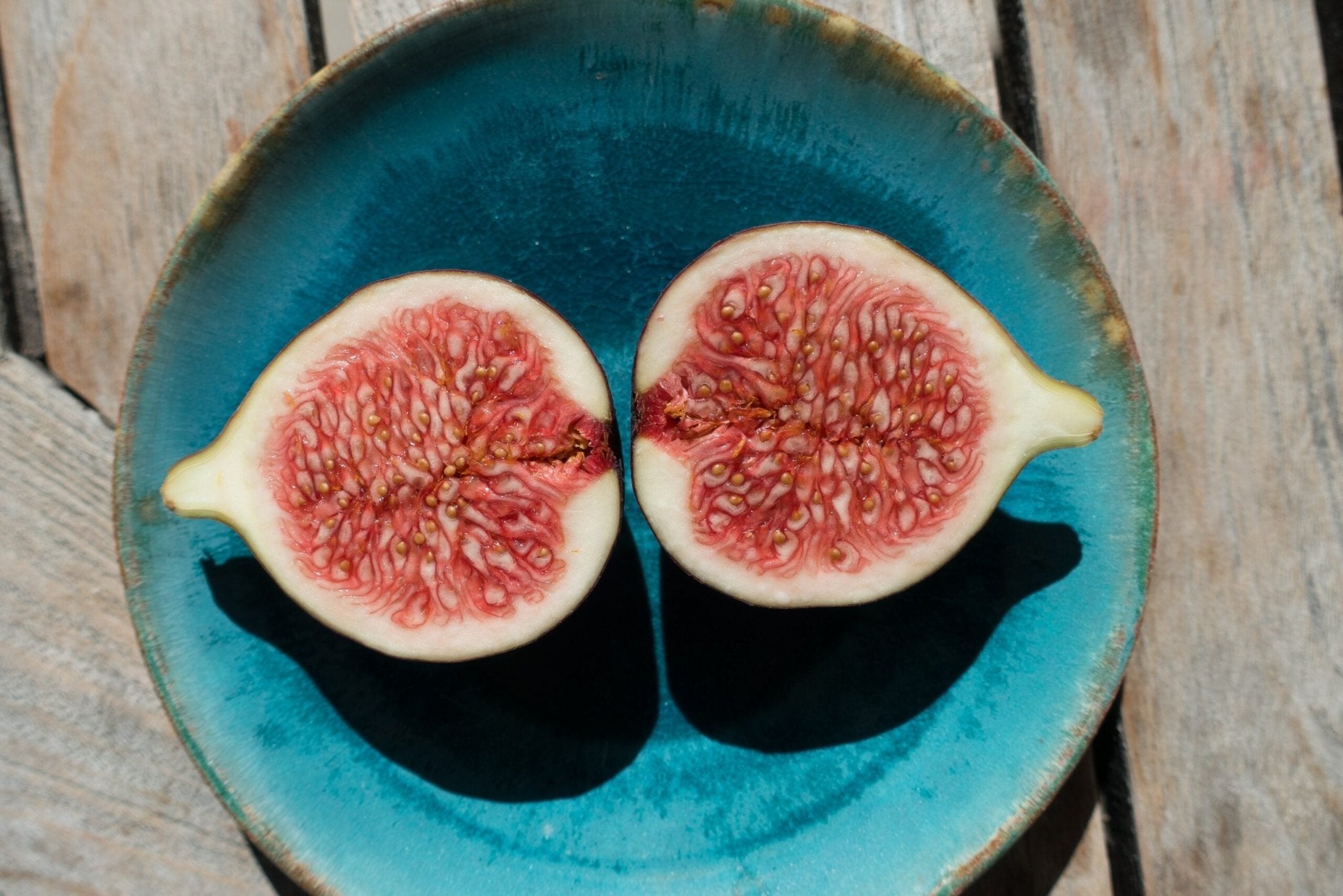 Can Dogs Eat Figs? Potential Benefits And Types Suitable For Furry Friends - Hero Pet Health