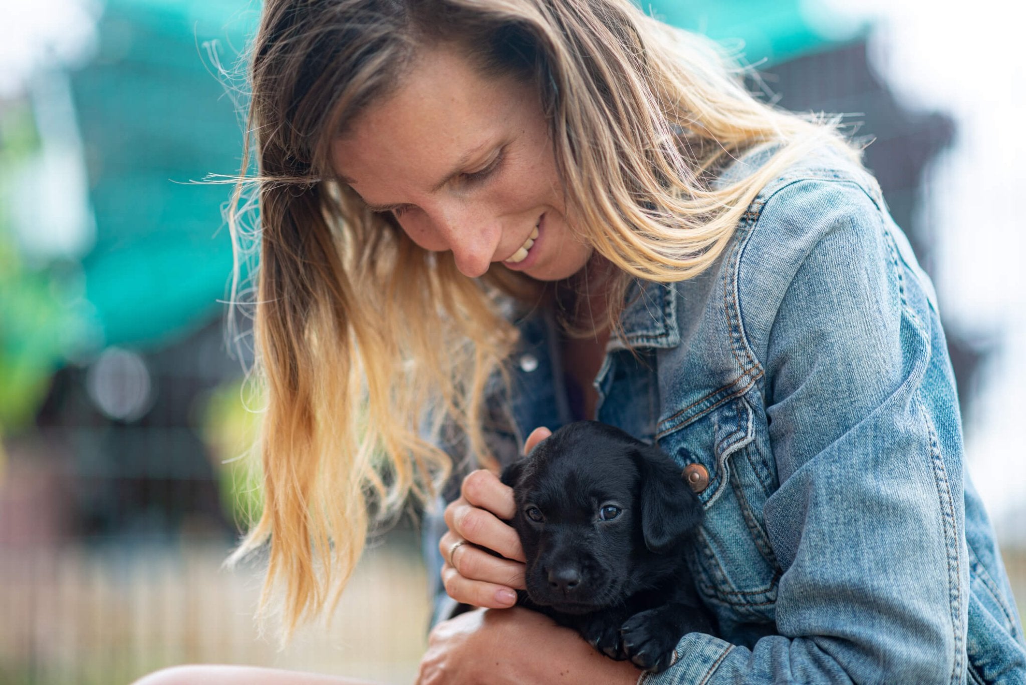 Puppies & Probiotics: A Vital Combination for Growth - Hero Pet Health