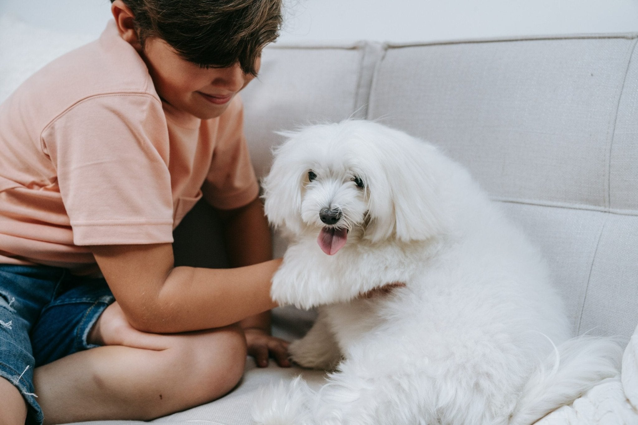 Decoding Dog Body Language And Its Importance - Hero Pet Health