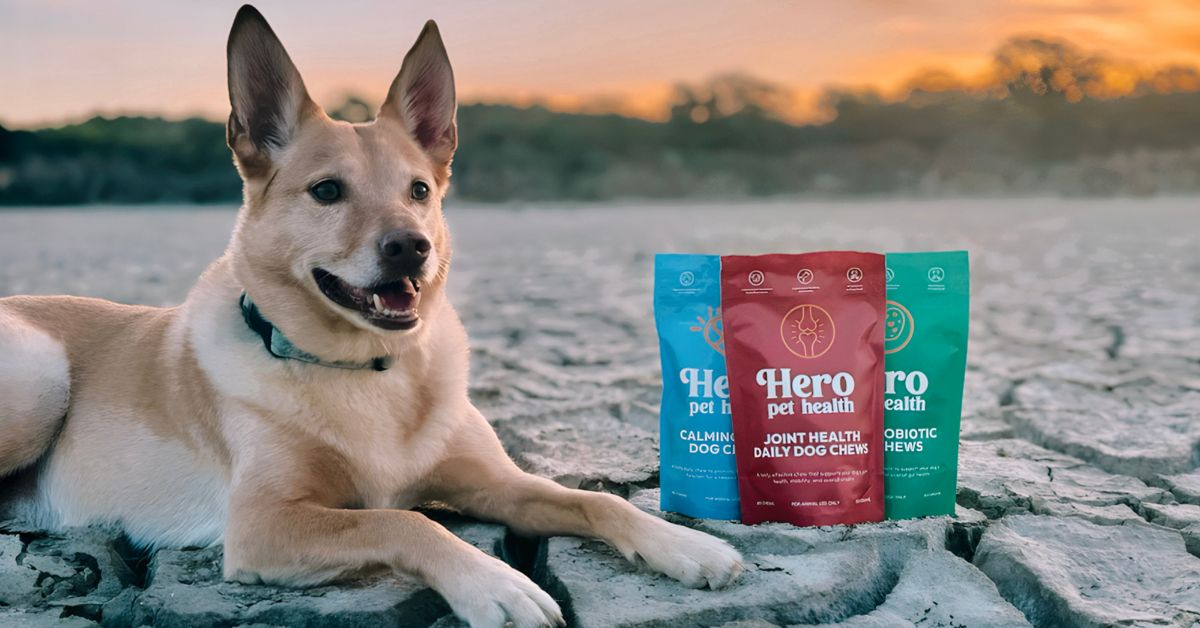 Dog health quiz Hero Pet Health